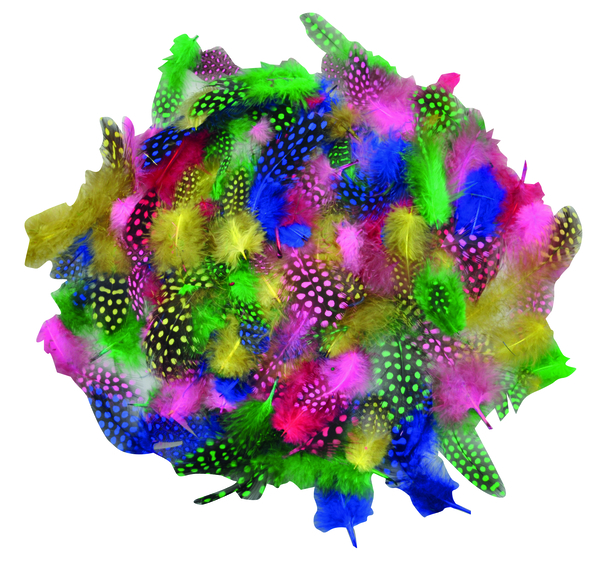 Regenbogen Federn, 100 Stück