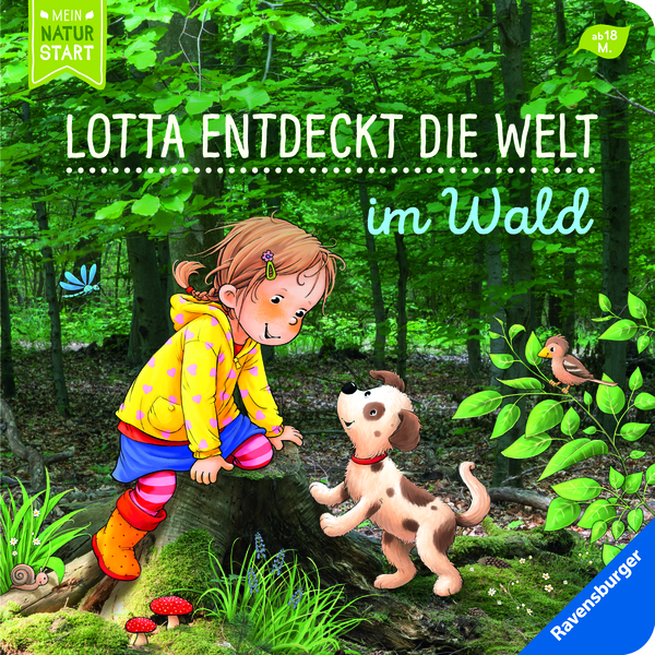 Lotta entdeckt die Welt: im Wald (Pappbilderbuch)