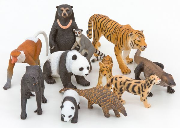 Asiatische Tiere, 11-teiliges Set