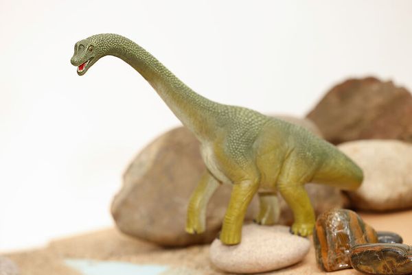 Schleich® Dinosaurier-Set, 4-teilig