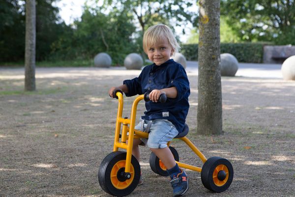 RABO Walking Trike