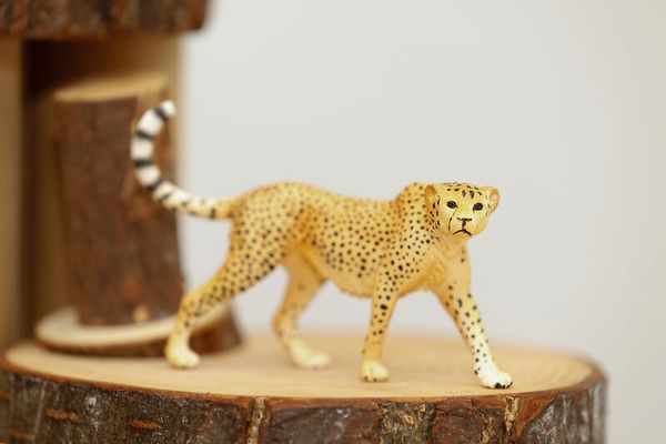 Schleich® Safari-Set, 12-teilig