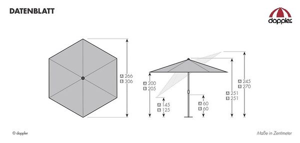 Diagramm, Handlung