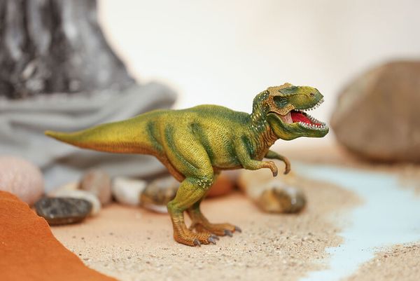 Schleich® Dinosaurier-Set, 4-teilig