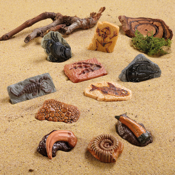 Fossilien für Sandspiel, 10 Stück