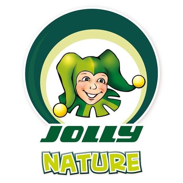 Jolly Supersticks Farbstifte - 12 bruchsichere Stifte, sechskant, farbig sortiert