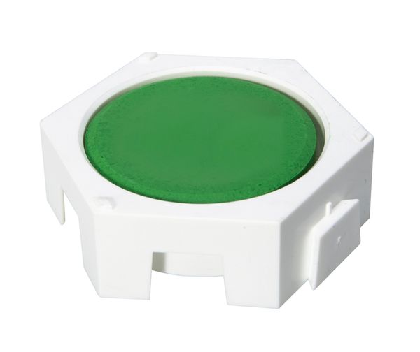 Tempera-Palette hexagonal für 55 mm Blöcke, 12 Stück