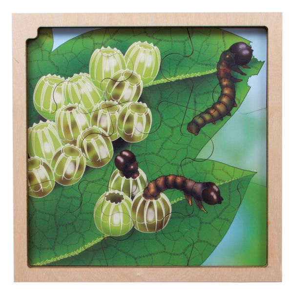 Circle of life Puzzle, Schmetterling, Holz, 86 Teile, ab 3 Jahre