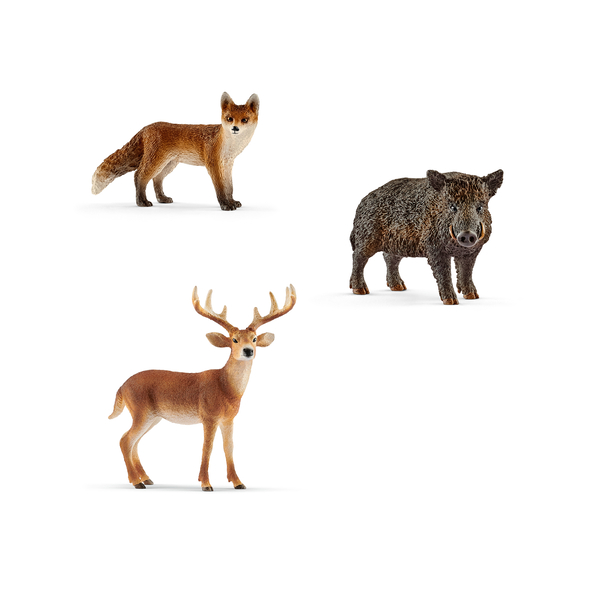 Antilope, Säugetier, Hirsch, Bär, Katze