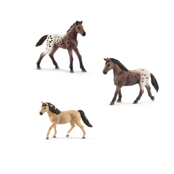 Tier, Colt Horse, Pferd, Säugetier, Fohlen