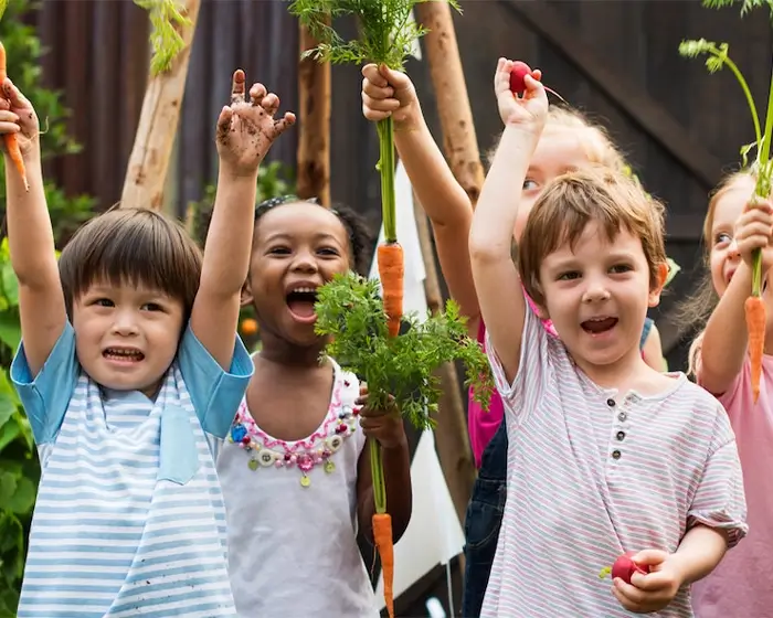 Urbanes Gardening in der Kita