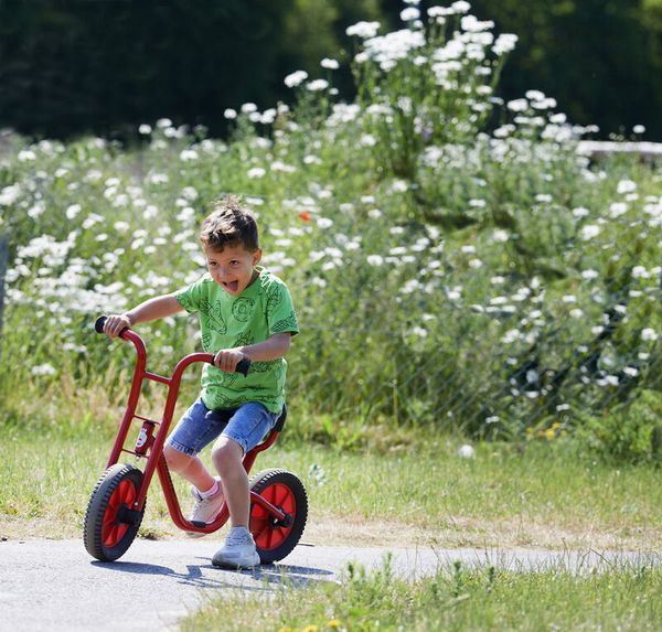 WINTHER BikeRunner large mit niedrigem Einstieg