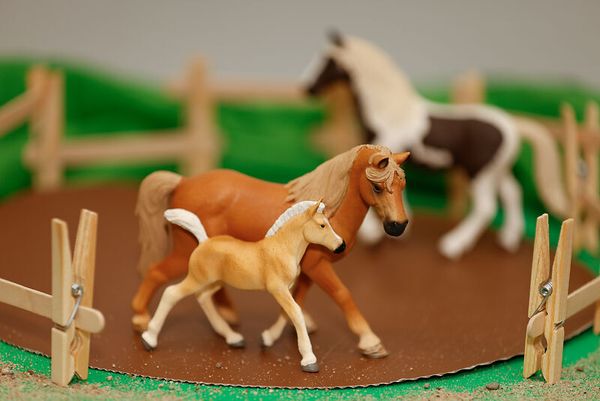 Schleich® Pferde-Set, 8-teilig