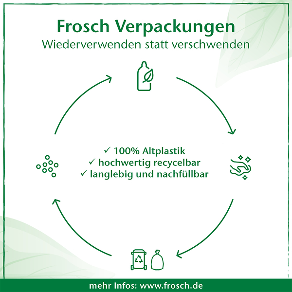 Frosch Küchen Hygiene-Reiniger, 300ml