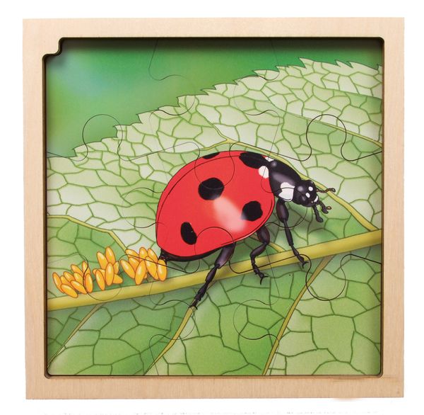 Circle of life Puzzle, Marienkäfer, Holz, 86 Teile, ab 3 Jahre