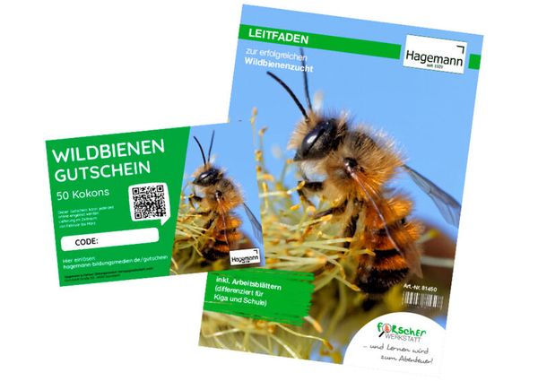 Zuchtset Wildbienen, 5-tlg.