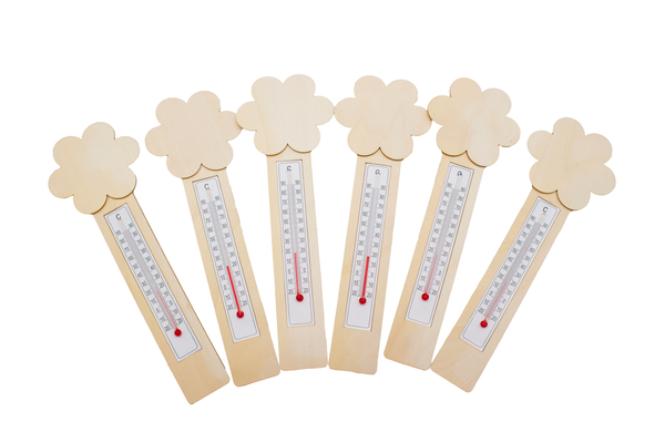 Thermometer Blumen, 6er Set