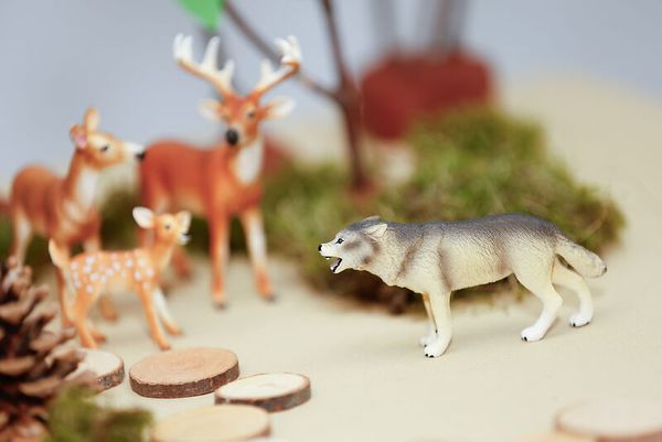 Schleich® Waldtiere-Set, 8-teilig