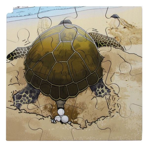 Circle of life Puzzle, Schildkröte, Holz, 4 Puzzle, ab 3 Jahre