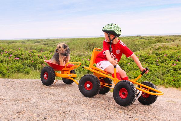 RABO® Moon-Car Dumper