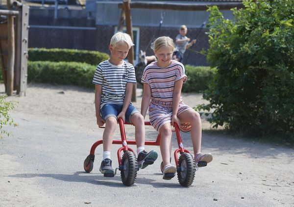 WINTHER VIKING CHALLENGE Twin Bike