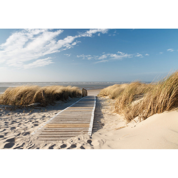 Fototapete Ostsee, verschiedene Größen