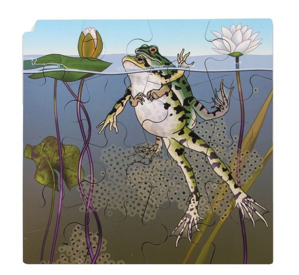 Circle of life Puzzle, Frosch, Holz, 86 Teile, ab 3 Jahre