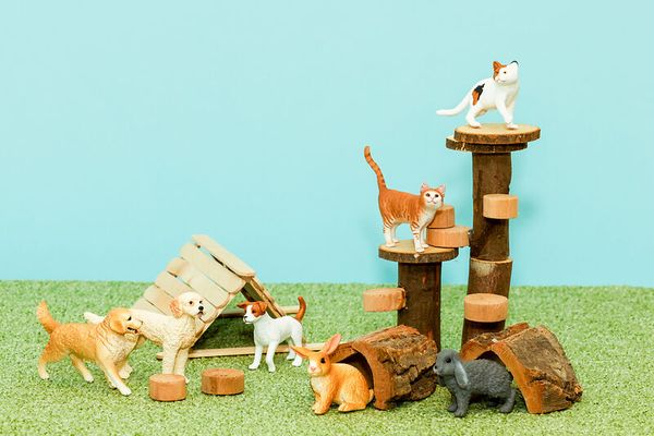 Schleich® Haustiere-Set, 7-teilig