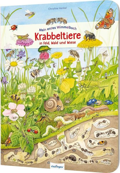 Krabbeltiere in Feld (Pappbilderbuch)