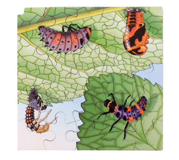 Circle of life Puzzle, Marienkäfer, Holz, 86 Teile, ab 3 Jahre