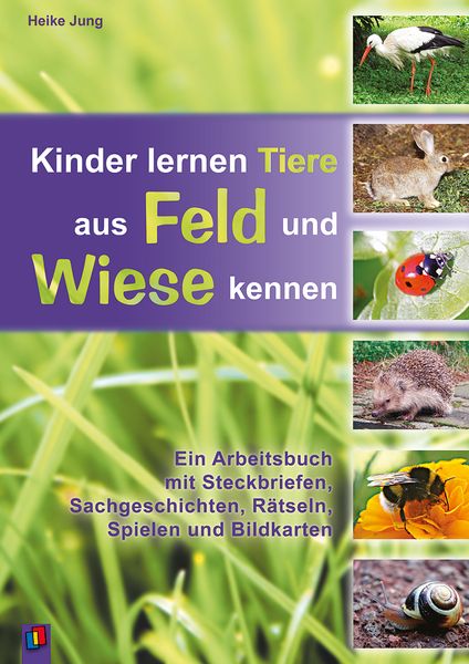 Werbung, Plakat, Tier, Vogel, Ratte