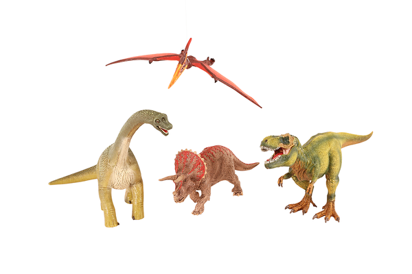 Tier, Dinosaurier, Reptil, T-Rex