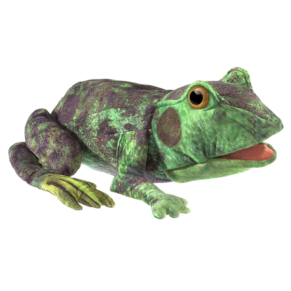 FOLKMANIS Handpuppe Metamorphose Frosch